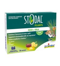 STODAL Plants 36 Past.Limone