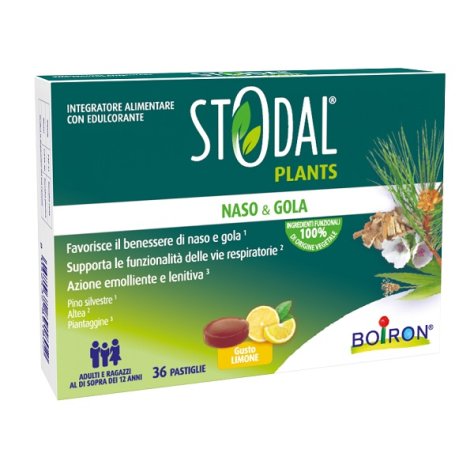 STODAL Plants 36 Past.Limone