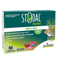 STODAL Plants 36 Past.Fr.Rossi