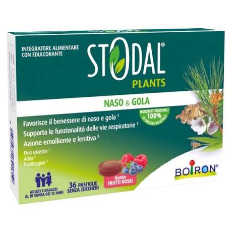 STODAL Plants 36 Past.Fr.Rossi