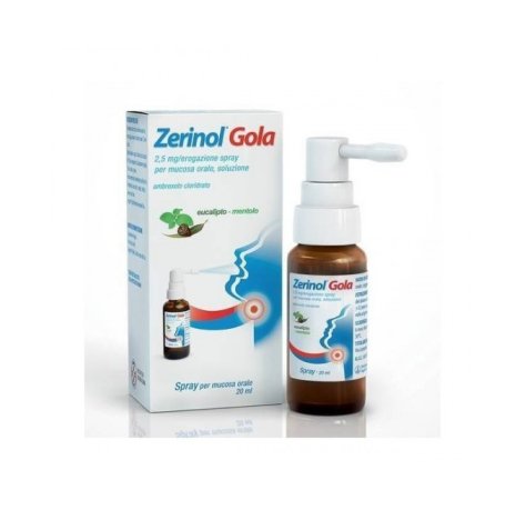 Sanofi Srl Zerinol Gola 2,5 Mg/Erogazione Spray Mucosa Orale, Soluzione 1 Fl In Vetro 20Ml Con Pompa Dosatrice E Adattatore