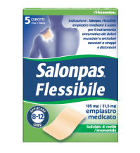 SALONPAS FLESSIBILE*5CER7x10CM