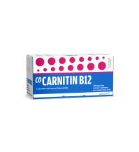 ALFASIGMA SpA Cocarnitina B12*os 10fl 10ml