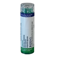 ARNICA MONTANA*9CH 120GR 6G