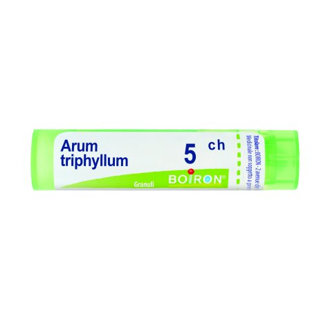 ARUM TRIPHYLLUM*5CH 80GR 4G