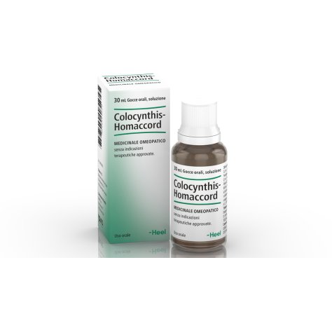 COLOCYNTHIS HOMACCORD GTT 30ML