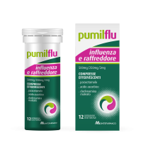 LEVIOFLU INFLUENZA E R*12CPR