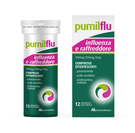 LEVIOFLU INFLUENZA E R*12CPR