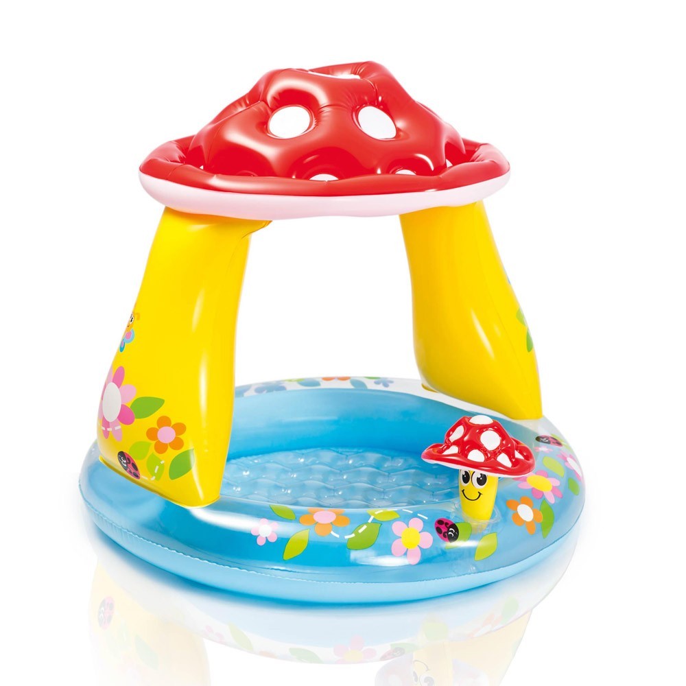 Attivita Piscina Con Tetto