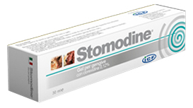 STOMODINE*U.EST. 30 ML